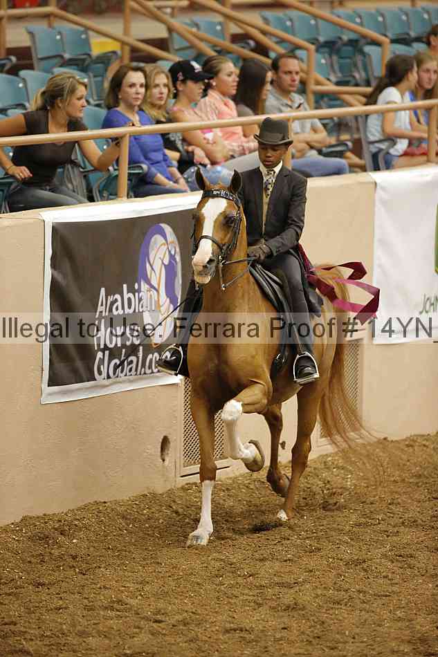 Proof 14yn_07727