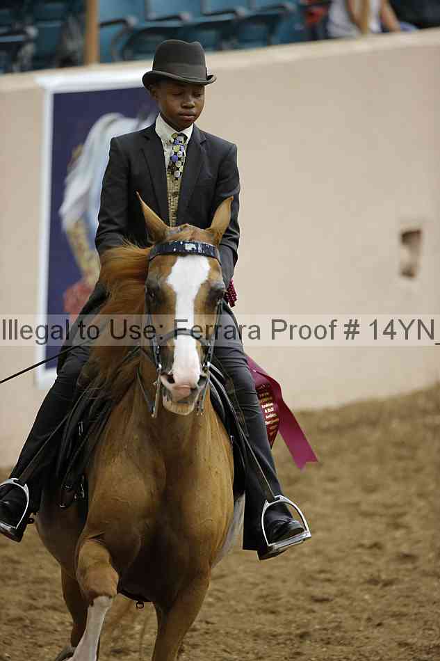 Proof 14yn_07728