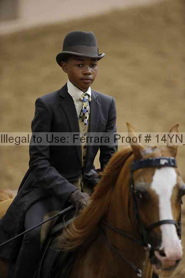 Proof 14yn_07729