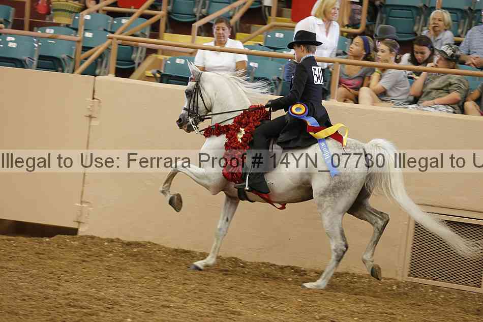 Proof 14yn_07730