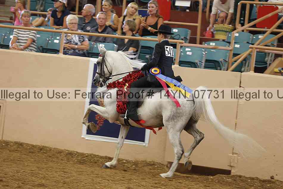 Proof 14yn_07731