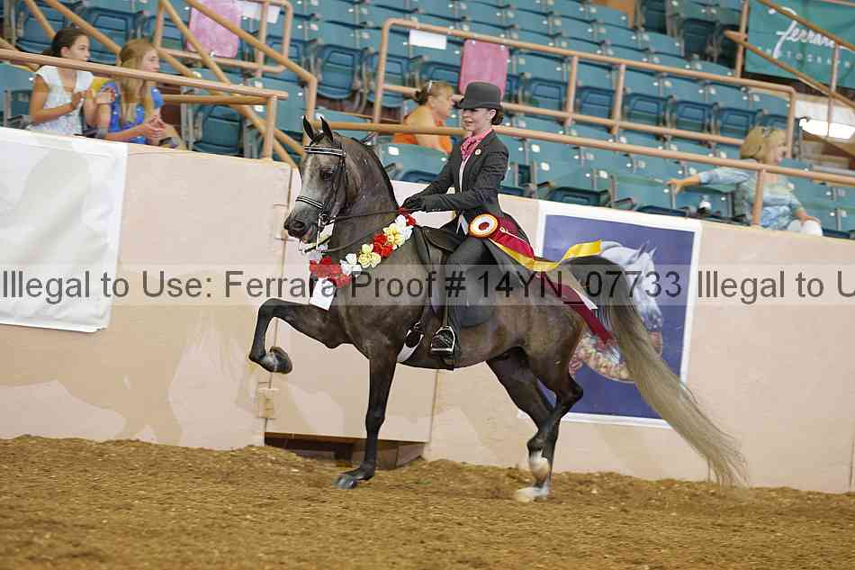 Proof 14yn_07733
