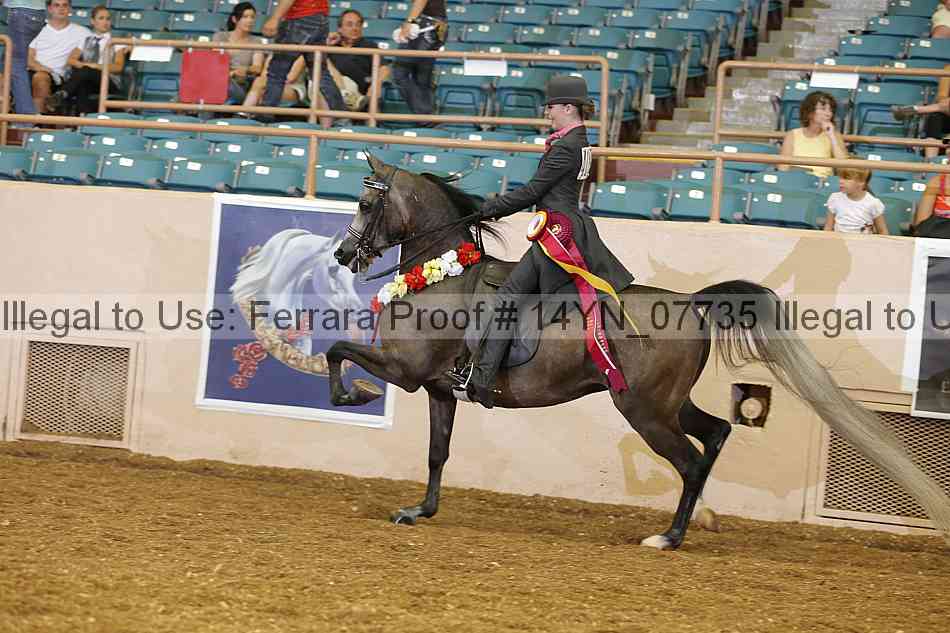 Proof 14yn_07735