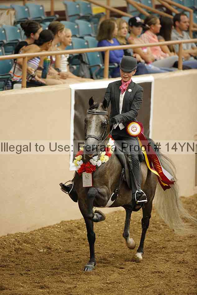 Proof 14yn_07737