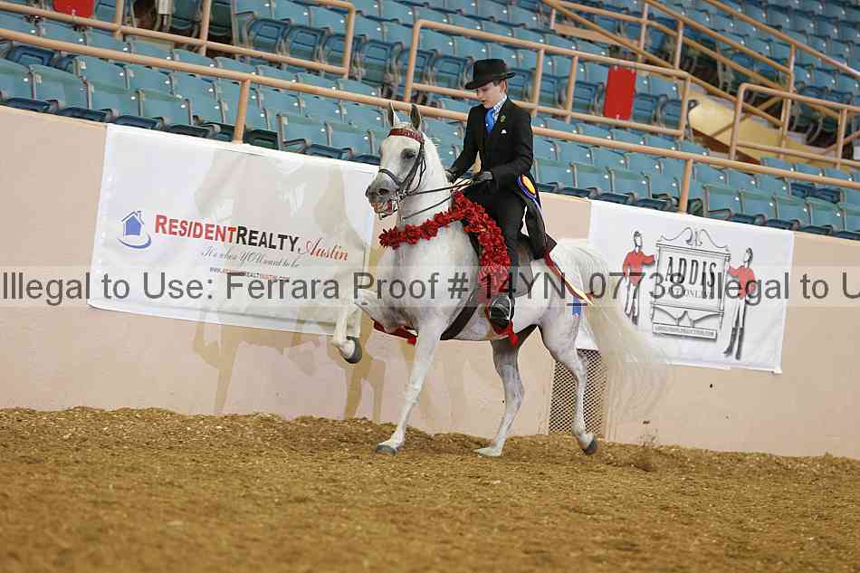 Proof 14yn_07738