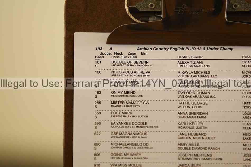 Proof 14yn_07016