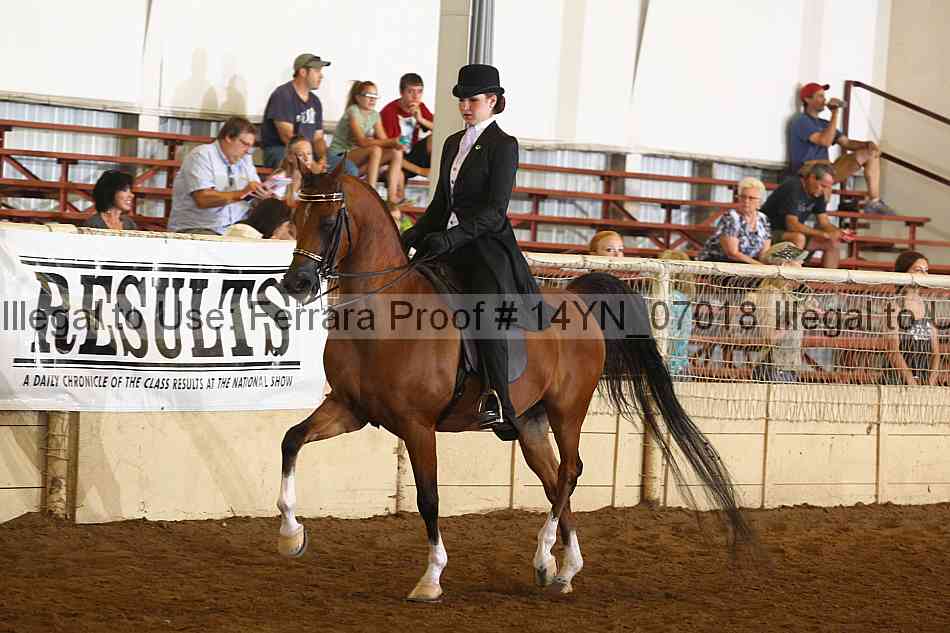Proof 14yn_07018