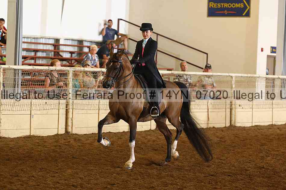 Proof 14yn_07020