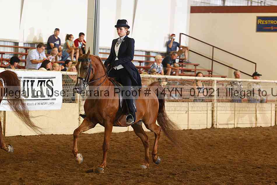 Proof 14yn_07021