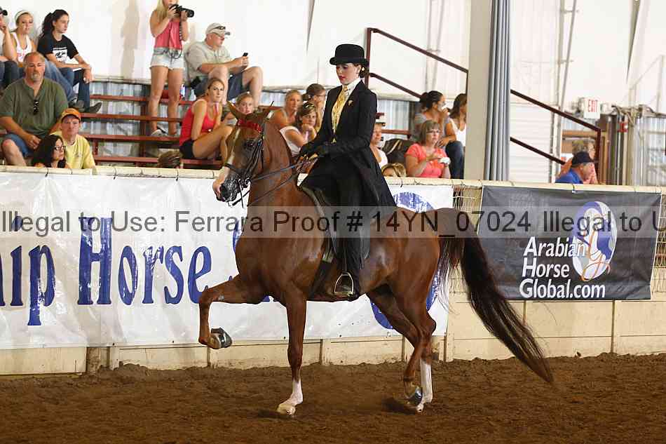 Proof 14yn_07024
