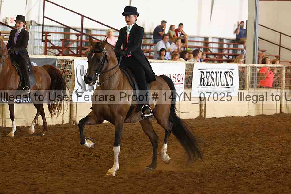 Proof 14yn_07025