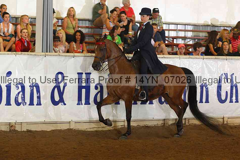 Proof 14yn_07026