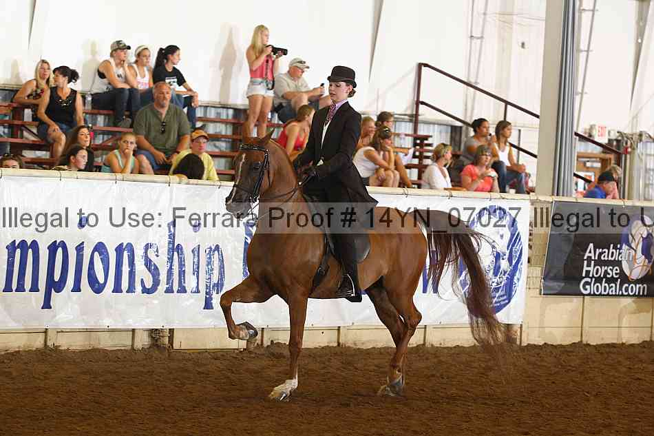 Proof 14yn_07027