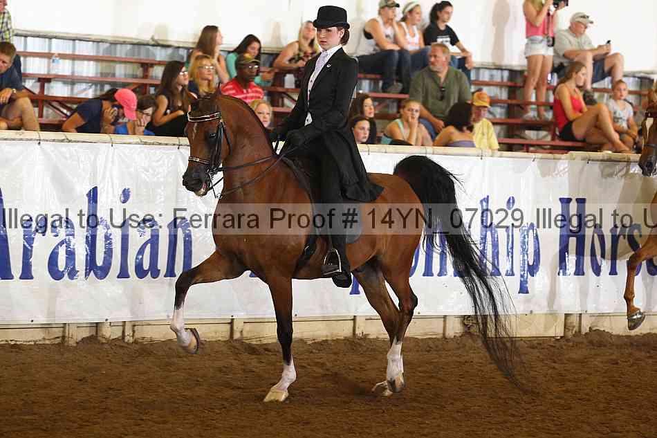 Proof 14yn_07029
