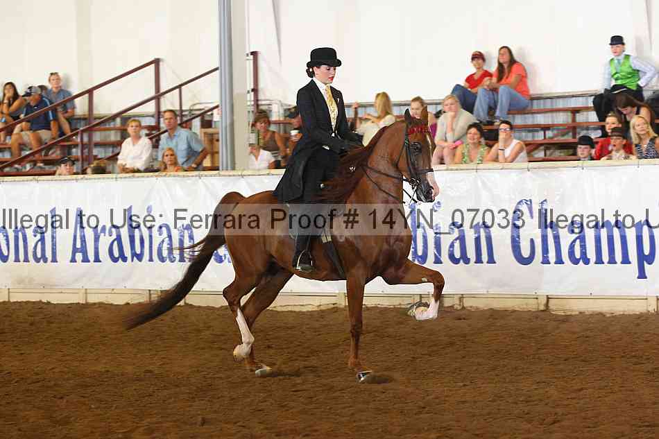 Proof 14yn_07033