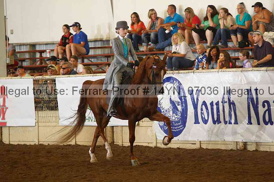Proof 14yn_07036