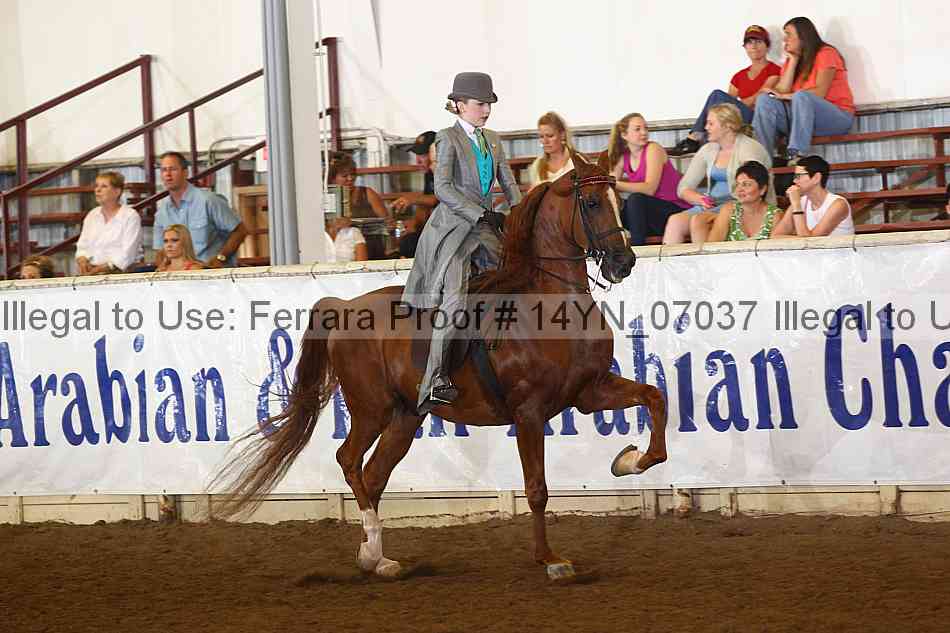 Proof 14yn_07037
