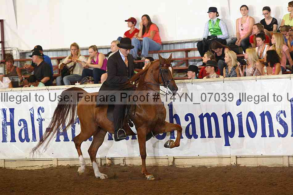 Proof 14yn_07039