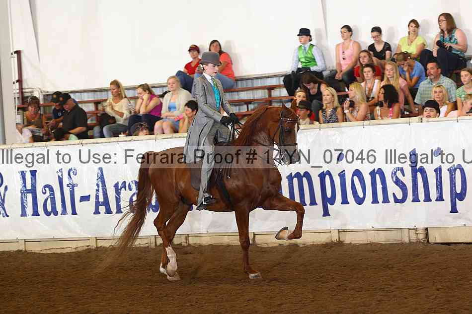 Proof 14yn_07046