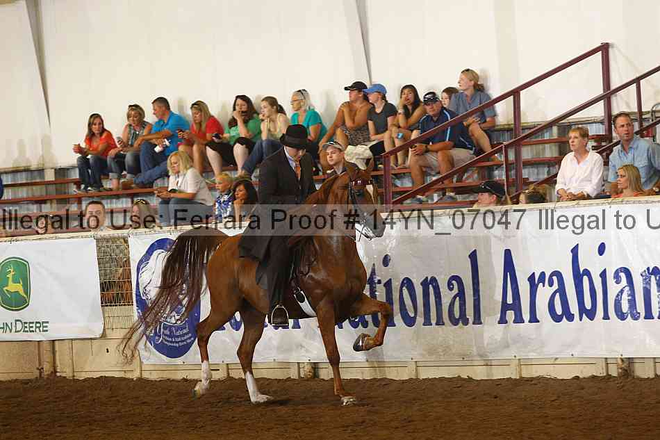 Proof 14yn_07047