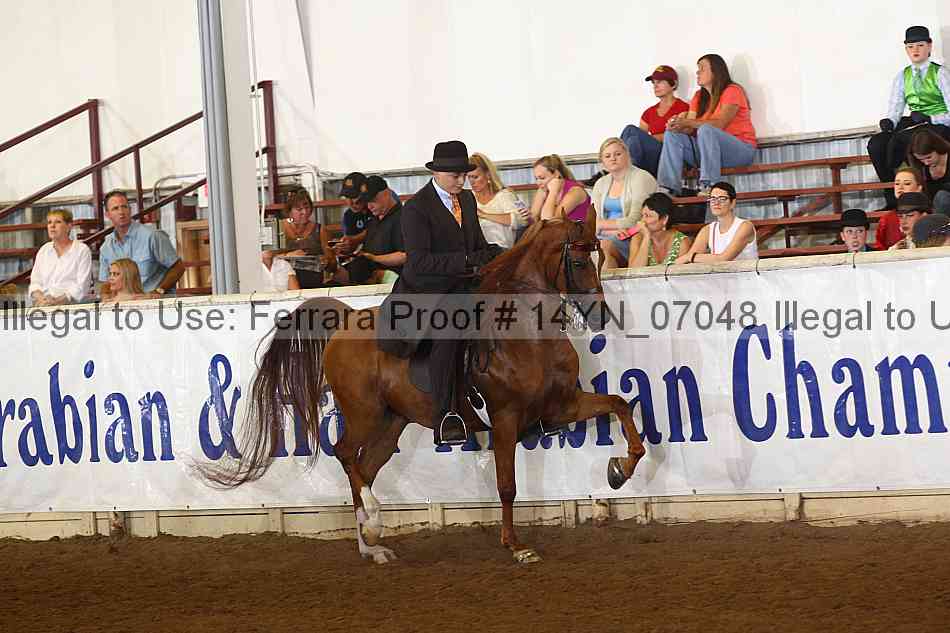 Proof 14yn_07048