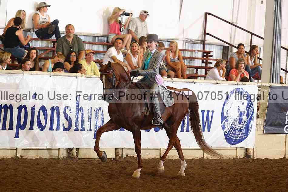 Proof 14yn_07051