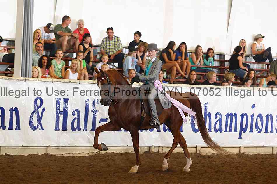 Proof 14yn_07052