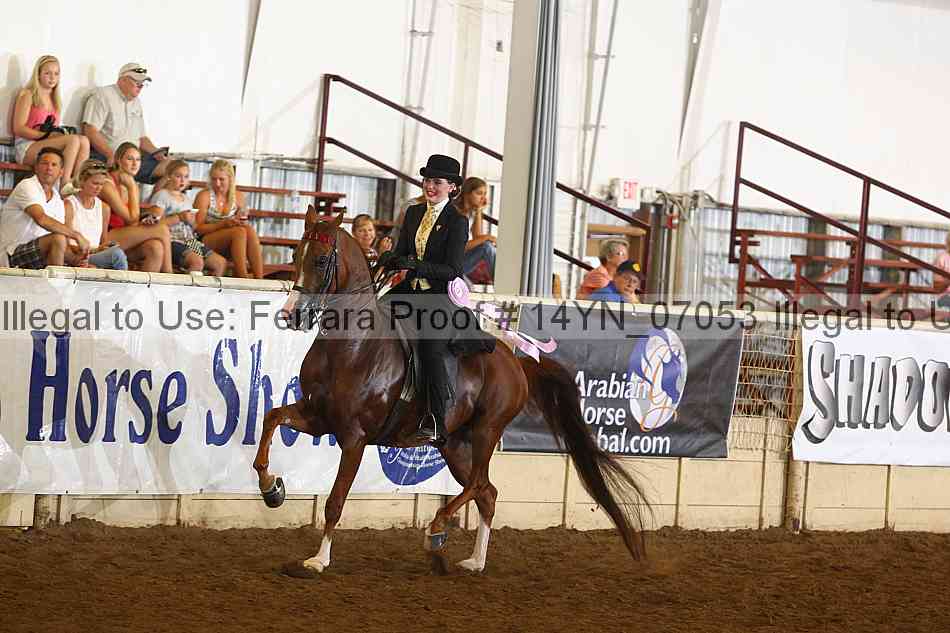 Proof 14yn_07053
