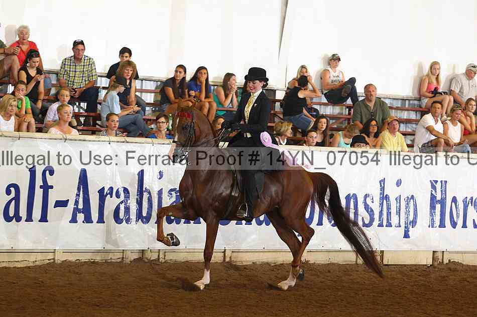 Proof 14yn_07054