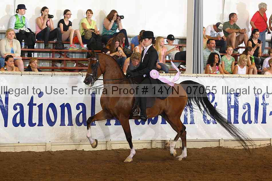 Proof 14yn_07055