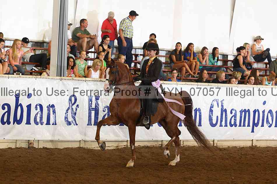 Proof 14yn_07057