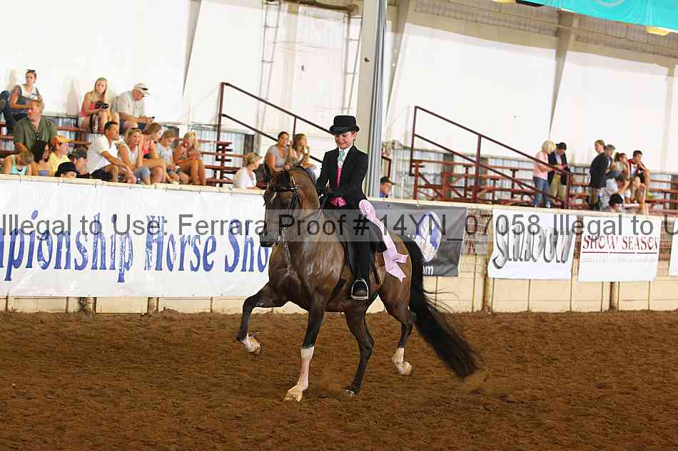 Proof 14yn_07058