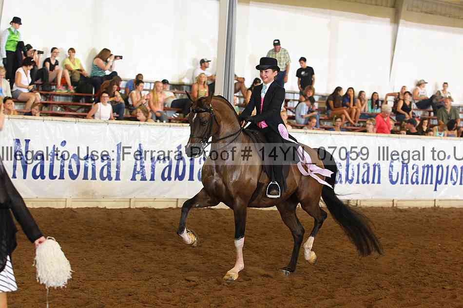 Proof 14yn_07059