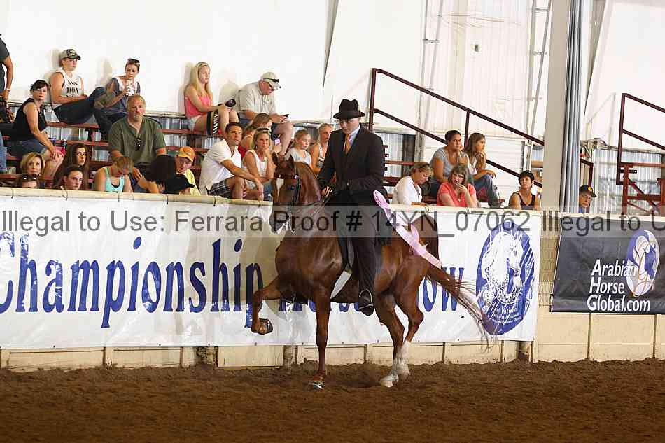 Proof 14yn_07062