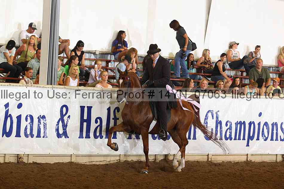 Proof 14yn_07063