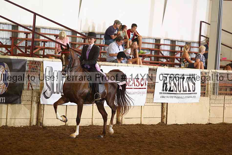 Proof 14yn_07064