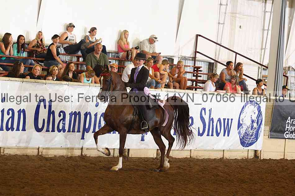 Proof 14yn_07066