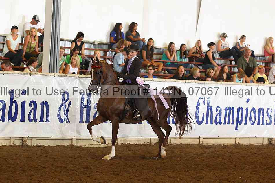 Proof 14yn_07067