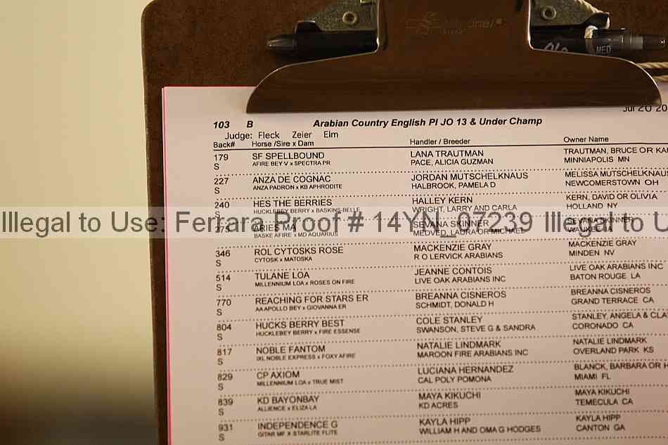 Proof 14yn_07239