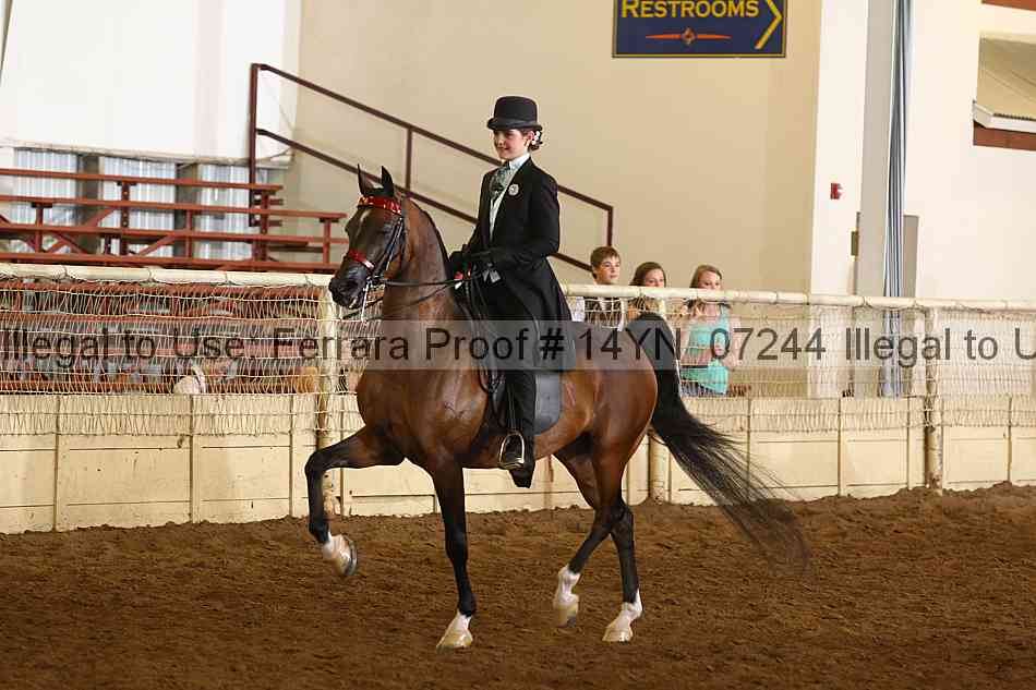 Proof 14yn_07244