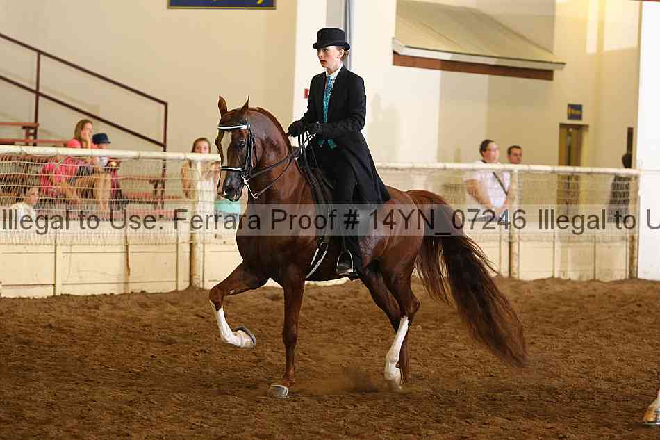 Proof 14yn_07246