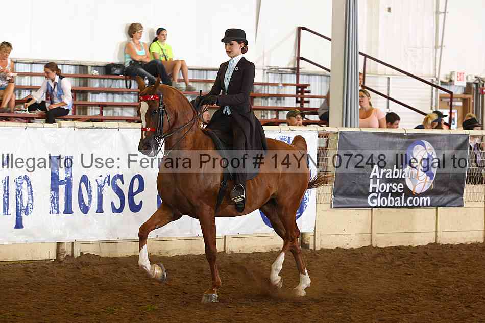 Proof 14yn_07248