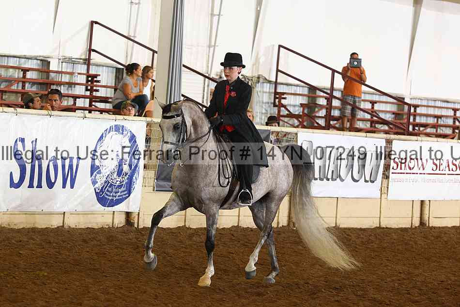 Proof 14yn_07249