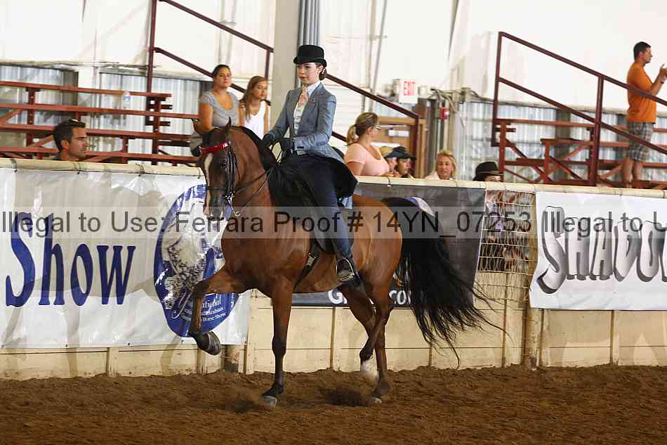 Proof 14yn_07253