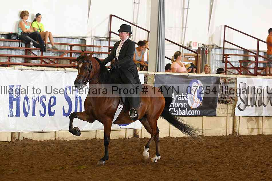 Proof 14yn_07254