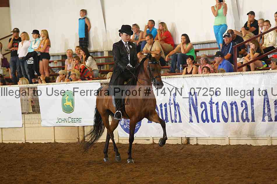 Proof 14yn_07256