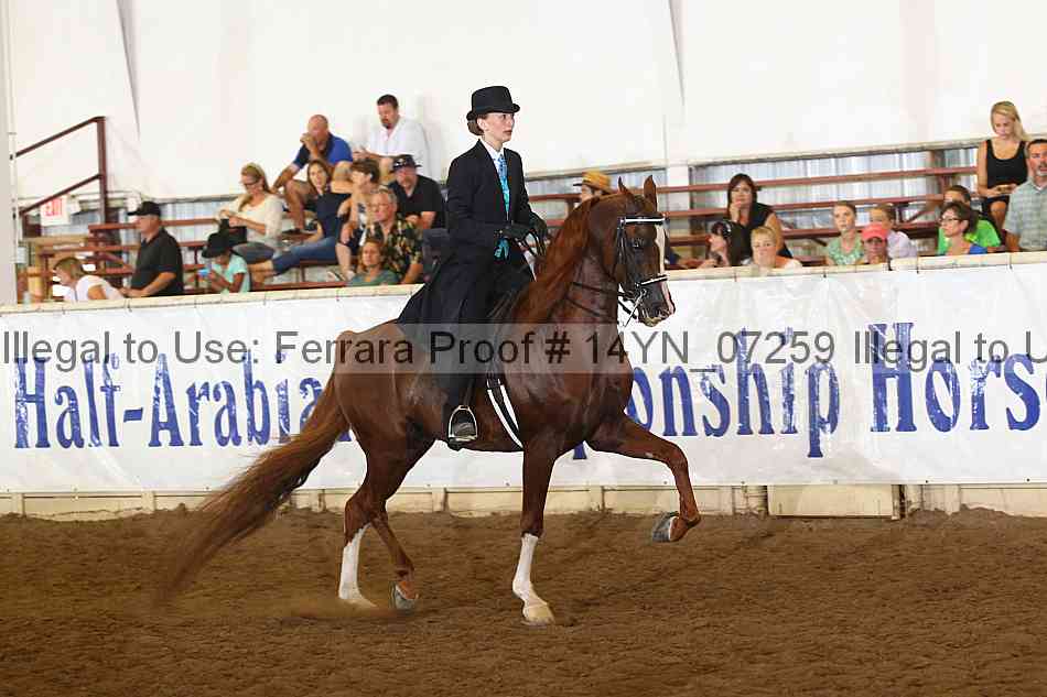 Proof 14yn_07259