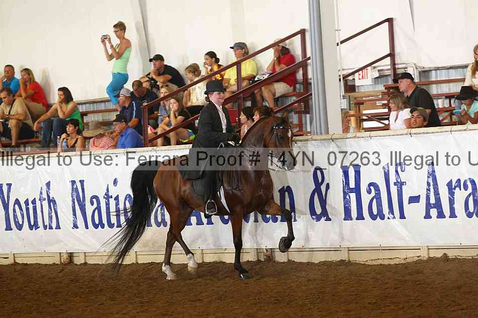 Proof 14yn_07263