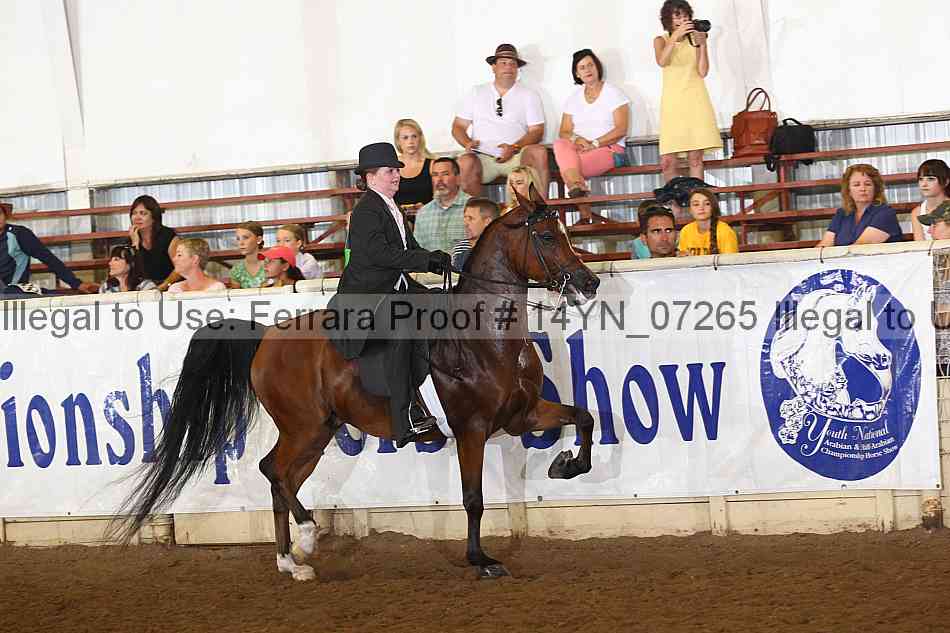Proof 14yn_07265