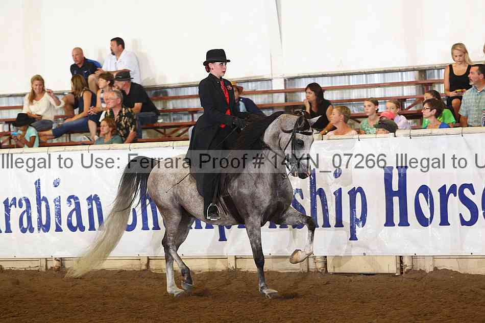 Proof 14yn_07266